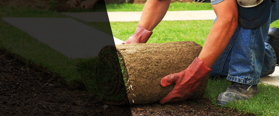 Graniteville Landscapers